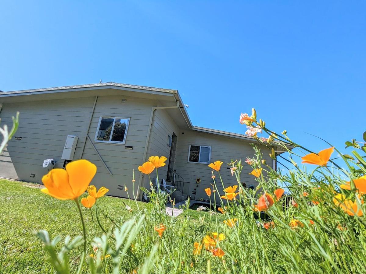 Springfield Bliss Villa Rotorua Luaran gambar
